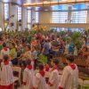 25.04.13_procissao_e_missa_de_ramos_046