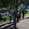 26.06.04_carreata_de_corpus_christi_039